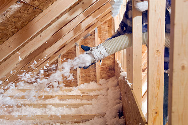 Best Blown-In Insulation  in Chippewa Falls, WI